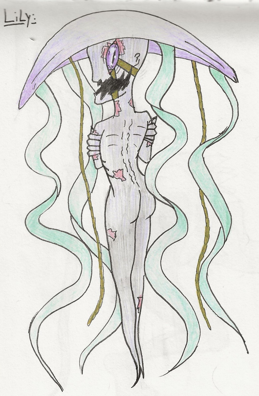 Lily
